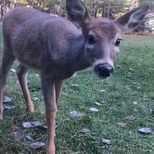 Meet your Posher, Cindy